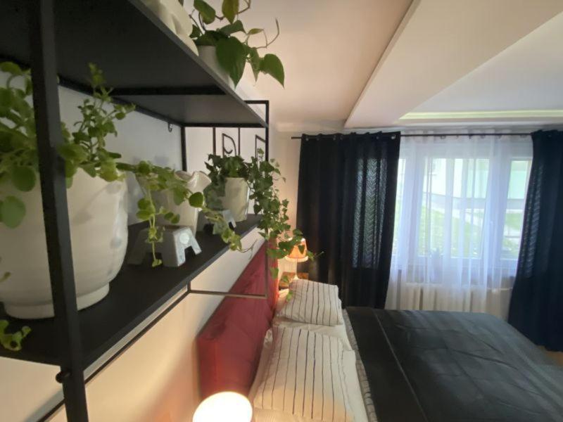 Apartament ,, Sen I Kawa" - Komfortowy Nocleg W Sercu Aglomeracji Бытом Экстерьер фото